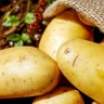 За фальсификацию продуктов в России начнут сажать