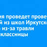 Полиция проведет проверку в одной из школ Иркутского района из-за травли восьмиклассницы