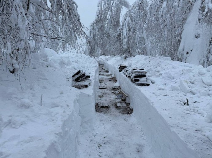В Прикамье не выполнены в срок работы по созданию экологической тропы в Каменном городе
