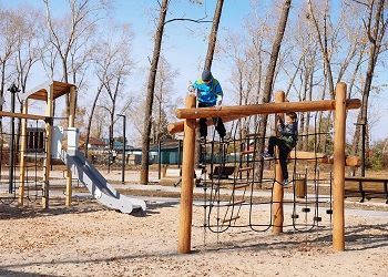 В Приамурье финансово поддержали больше 60 местных инициатив