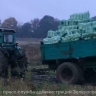 По килограмму на каждого жителя области: в Зеленоградском районе с одного поля собрали  1 200 тонн пекинской капусты