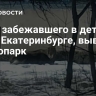 Лося, забежавшего в детский сад в Екатеринбурге, вывезли в лесопарк...