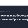На пяти участках побережья Кубани нашли новые выбросы мазута