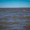 Расчистку водоёмов Якутска проведут в рамках федерального проекта «Вода России»