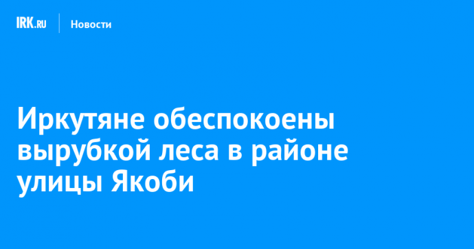 Иркутяне обеспокоены вырубкой леса в районе улицы Якоби