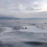 На набережной спасли провалившуюся под лед собаку