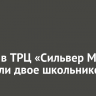 Пожар в ТРЦ «Сильвер Молл» устроили двое школьников