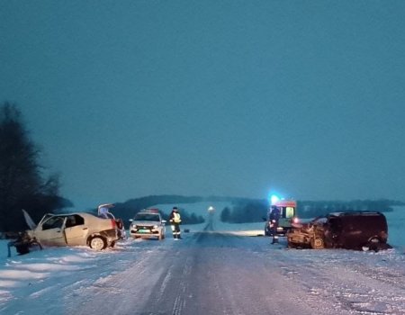 В Башкирии в лобовом столкновении двух легковушек погиб мужчина