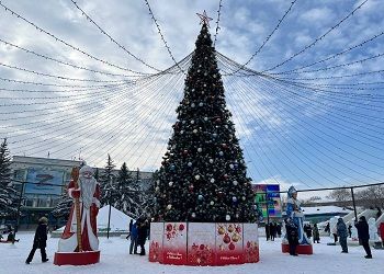 В Белогорске в начале февраля уберут главную новогоднюю елку