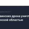 Два украинских дрона уничтожены над Брянской областью