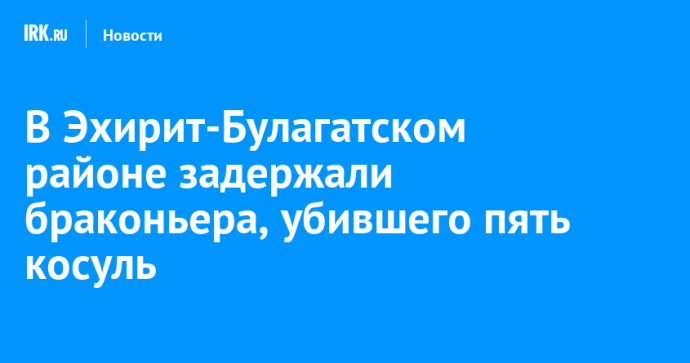 В Эхирит-Булагатском районе задержали браконьера, убившего пять косуль