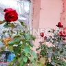 Нечто очень странное произошло в Астрахани за несколько дней до Нового года 