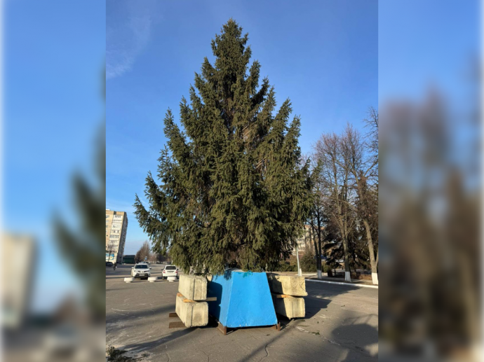 В Кузнецке установили главную городскую ёлку