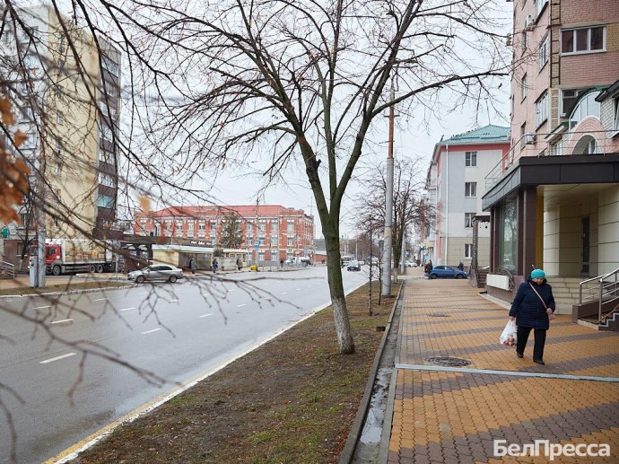 МЧС предупредило белгородцев об усилении ветра