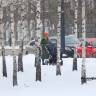 В соцфонде по Башкирии рассказали, кто может выйти на пенсию досрочно