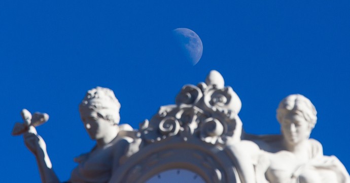 Чем отличились русские медведи и зачем в космосе домик: 10 самых интересных научных открытий минувшей недели