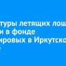 Скульптуры летящих лошадей создали в фонде Тихомировых в Иркутском районе