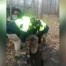 Под Балтийском нашли и обезвредили фугасную авиабомбу (фото)