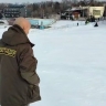 Отлов продолжается. В пригороде Владивостока ищут хищника