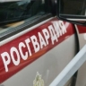 Пьяный полуголый человек разгромил книжный магазин на севере Петербурга