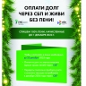 Жителям Ярославской области спишут пени при оплате электроэнергии через СБП