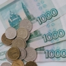 Житель Пензенской области заплатил долг приставам, чтобы вылететь из России