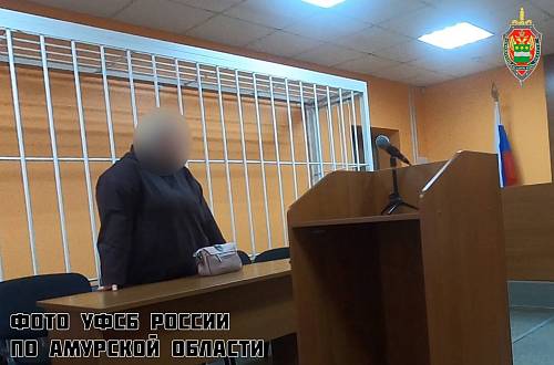 Амурчанку осудили за оправдание терроризма и дискредитацию ВС РФ