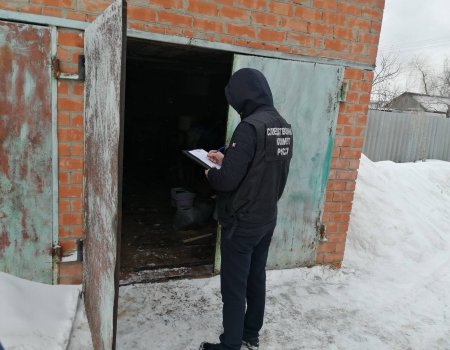 В Башкирии многодетные родители покончили жизнь самоубийством