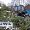 В тульской полиции сообщили суммы штрафов за незаконную рубку ёлок
