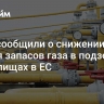 В GIE сообщили о снижении уровня запасов газа в подземных хранилищах в ЕС