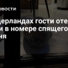 В Нидерландах гости отеля нашли в номере спящего тюленя
