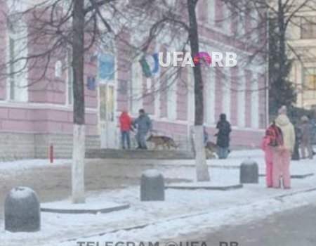 На учебные заведения и ТЦ Башкирии обрушилась «волна» тревожных сообщений