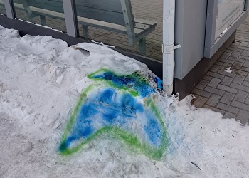 В микрорайоне Благовещенска снег, который испачкали собаки, покрасили в сине-зеленый