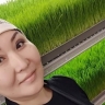 Природный энергетик производит резидент технопарка «Якутия»