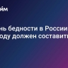Уровень бедности в России к 2035 году должен составить 5%