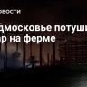 В Подмосковье потушили пожар на ферме
