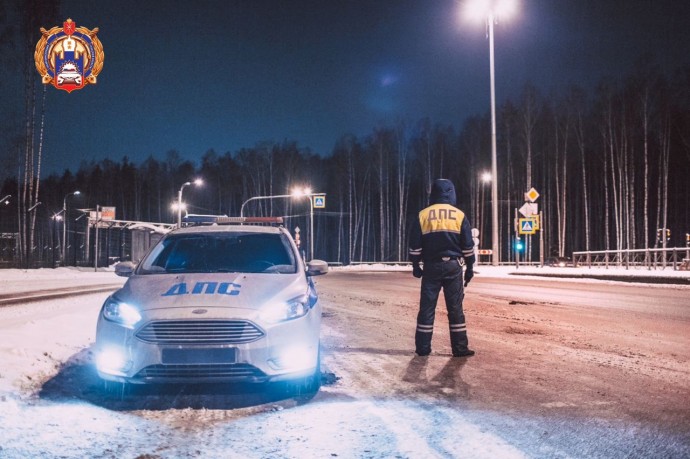 Тульские автоинспекторы согрели пассажиров автобуса «Москва–Краснодар»