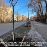 В Перми завершилась осенняя озеленительная кампания