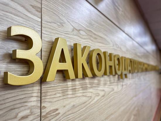 Закон о статусе многодетной семьи рассмотрят депутаты ЗС на ближайшей сессии
