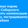 Суд обязал мэрию Усолья-Сибирского выплатить компенсацию ребенку, пострадавшему от укуса собаки