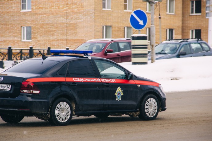 Рязанский бывший ветврач за взятки выписывал липовые документы фермеру