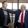 Выяснилось, на сколько Маск вложился в Трампа