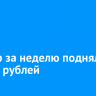 Доллар за неделю поднялся до 108 рублей