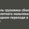 Водитель грузовика сбил восьмилетнего мальчика на пешеходном переходе в Тельме