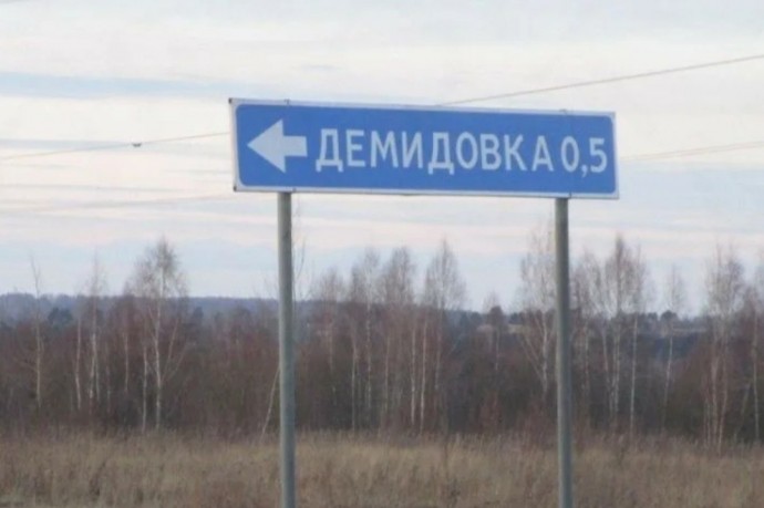 Дорогу в деревню Демидовка в Большой Туле завалило деревьями