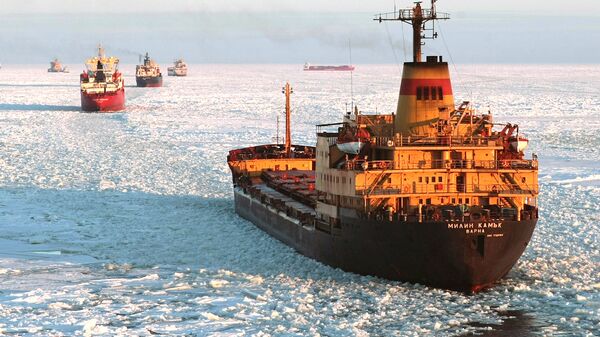 Объем грузоперевозок по Севморпути в 2024 году стал рекордным