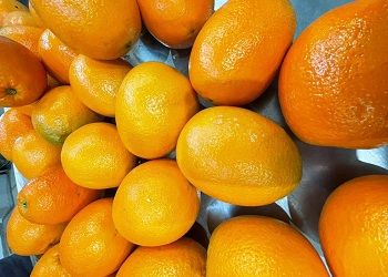 В Приамурье в несколько раз выросли поставки апельсинов из Китая