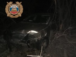 "Шкода" врезалась в дерево, травмированы женщина и ребёнок