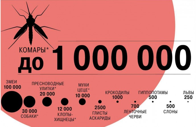 Комары возглавляют топ смертоносных для человека животных Комары возглавляют топ смертоносных для человека животных