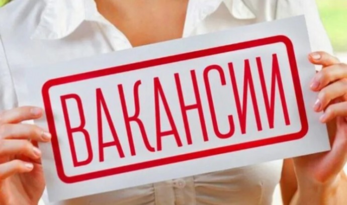 Названы самые востребованные профессии в 2024 году Названы самые востребованные профессии в 2024 году